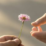 QUELLO CHE NUTRE UN LEGAME, IN SILENZIO