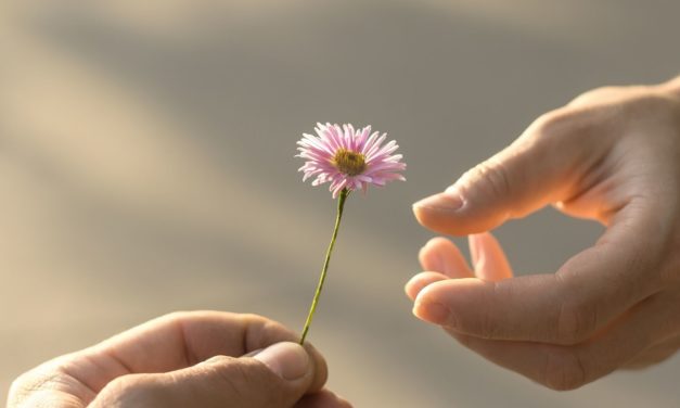 QUELLO CHE NUTRE UN LEGAME, IN SILENZIO